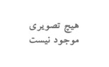 ریکاردو